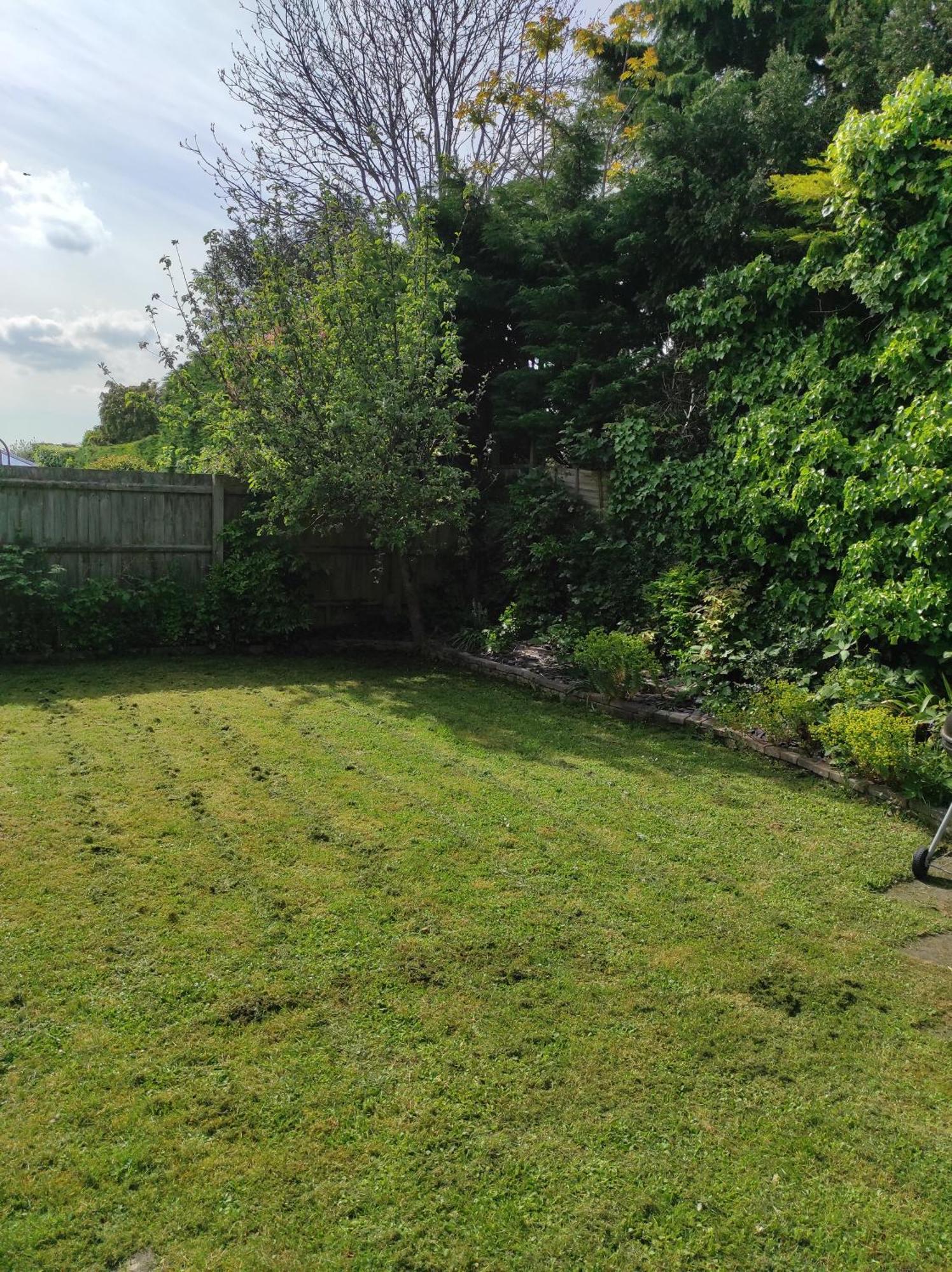 הוילה Bury St. Edmunds Number 8 With Free Parking מראה חיצוני תמונה